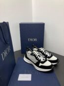 Dior b25